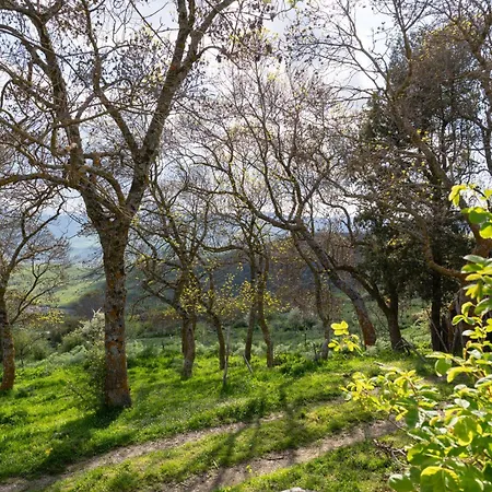 Dimora Storica Dei Nelson Villa Maniace