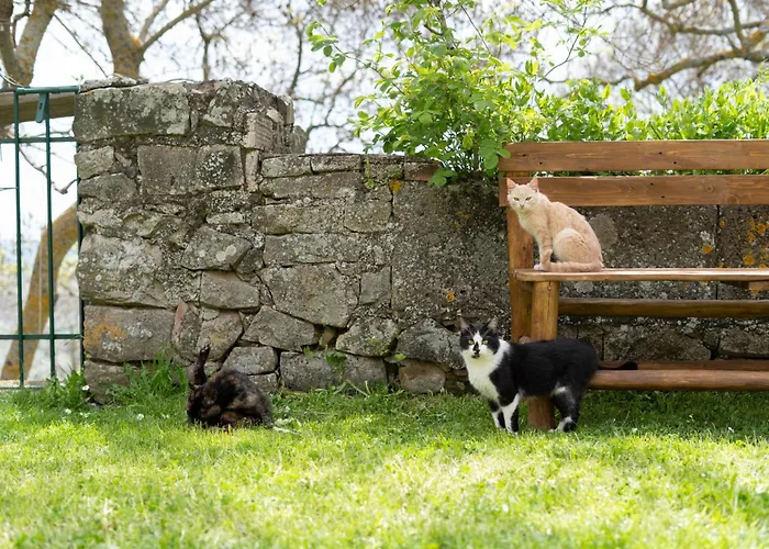 Dimora Storica Dei Nelson Villa