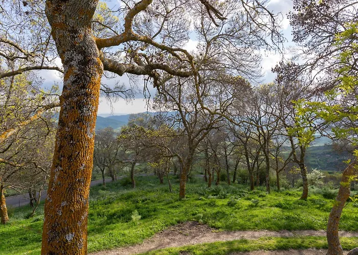 Dimora Storica Dei Nelson Villa Maniace