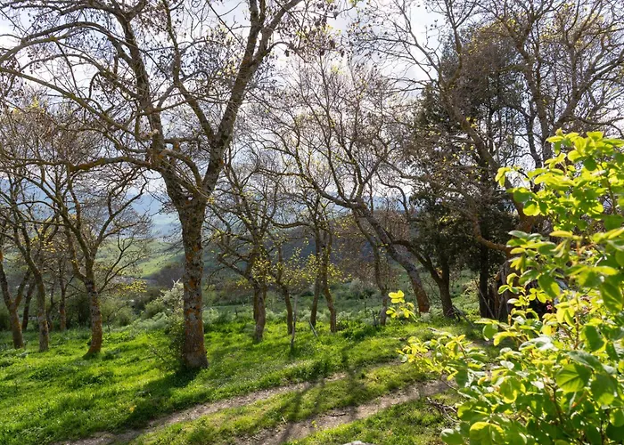 Dimora Storica Dei Nelson Villa Maniace